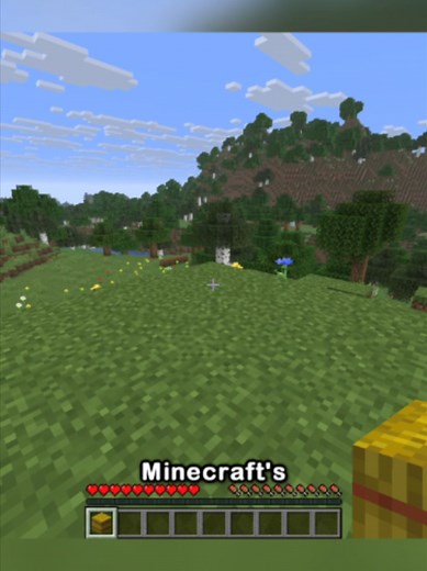 Minecraft hay bale texture change explained