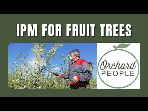 Protect Organic Fruit Trees with Integrated Pest Management