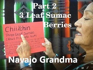 Navajo Grandma "Chííłchin" Sumac Berries--Part 2