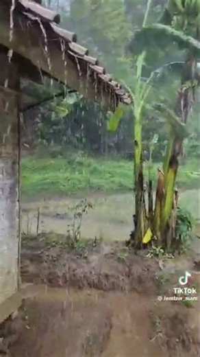 El señor los bendiga grandemente en este ermoso día Vendisiones hermanos en Cristo 🙏