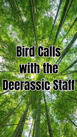 Don't mind us... Just practicing our bird calls over here!🐦🦉 #outdooreducation #familyfun #outdoors #ohio #cambridgeohio #deerassic #deerassicpark #birds #birdcalls