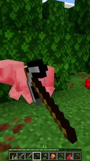 ล่าหมู 🐷 ล่าไก่ 🐔 | Minecraft