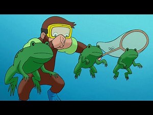 George Pega Sapos! 🐵 George, o Curioso 🐵 Desenhos Animados