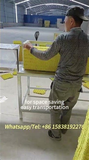 Automatic Egg Tray Baler for Production Line