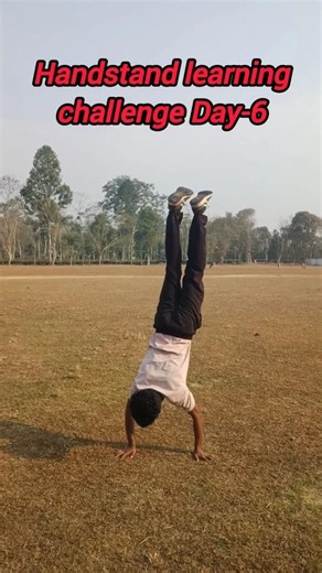 Handstand Day 6: Practice makes perfect! 🤸‍♂️ #Handstand #Day6 #ShortsIndia #shorts #Subscribe