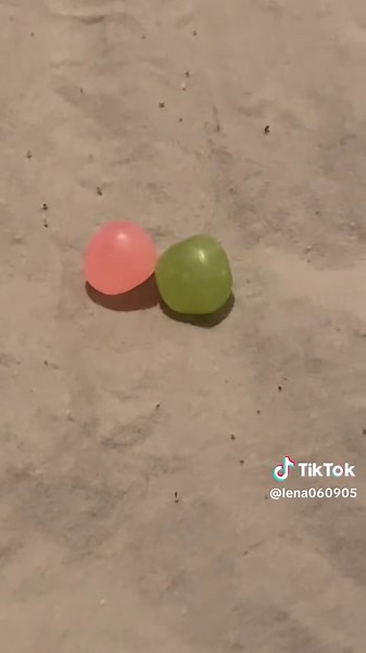 Understanding My Candy's Strange Noise