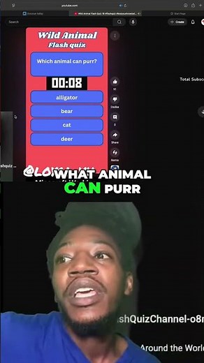 Animal Quiz: Guess the Rodent and Purring Secrets! #shorts