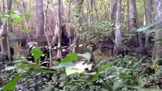 Drone Captures What No One Was Supposed to See