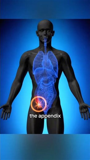 Human Body Parts We Don’t Need Anymore 😳 (Appendix Explained)