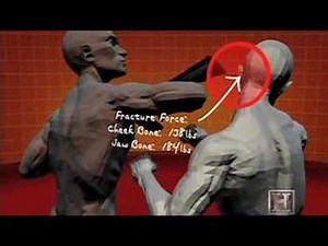 Human Weapon - Krav Maga - Buttstroke