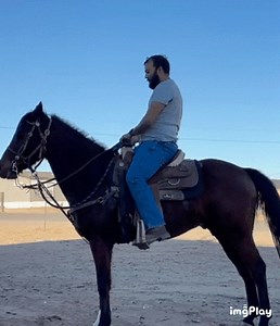 Rope in the Fun: Family-Friendly Dude Ranch Escapes