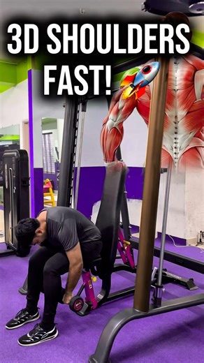 Complete 3D Shoulder Workout for Beginners: Build Massive Delts at Gym