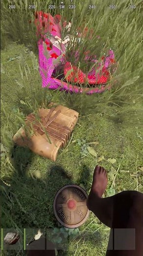 What Happens When You Use ESP To Find Stashes In Rust?