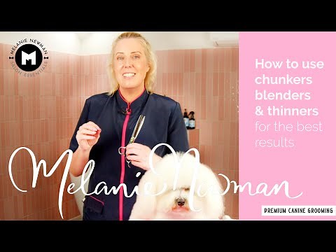How to use Chunkers, Blenders and Thinners on a dogs coat.