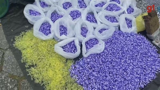 PMs encontram grande quantidade de drogas dentro de barco em mangue