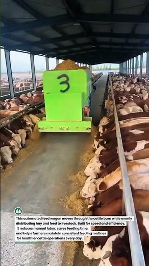 Smart Feed Wagon Delivers Hay Fast for Hungry Cattle! #Farming #CattleFeed #AgriTech