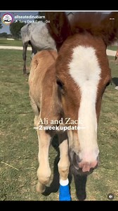 64K views · 1.2K reactions | Ali and her baby Zach Update! It’s...