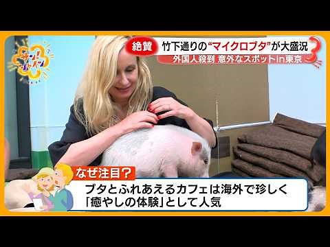 【絶賛】外国人観光客が殺到 東京の意外な人気スポットとは？伝統文化や様々な体験が人気に【サン！シャインニュース】