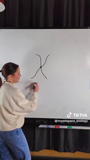 Understanding Chromosome Structure in A-level Biology