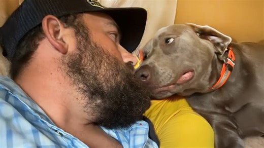 Dogs become your funniest and most loyal best friends