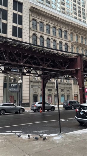 The above ground subway system is pretty impressive in Chicago 🏙️ Parts of the subway run on elevated tracks, a steel marvel that’s been carrying the city for over a century 😲￼. #Chicago #SteelCity #subway #TransitHistory | UrbanBldr