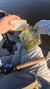 340K views · 2.4K reactions | Do you use scent on your soft plastic lures? Using scent can help species like redfish and black drum key in on your lures more easily and entice a strike. If you haven’t tried it, why not? If you use scents, what’s your favorite? Learn more about using scents and why they matter ➡️ https://www.saltstrong.com/articles/adding-scent-to-soft-plastic-lures/ #inshorefishing #fishingtackle #fishinggear #redfish #fishingtips | Salt Strong | Facebook