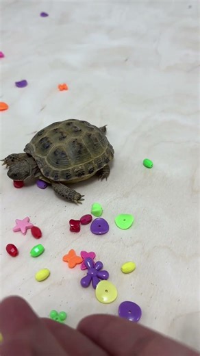 4 апреля 2026 г.