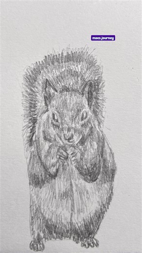 Day 125 of drawing daily 🐿️