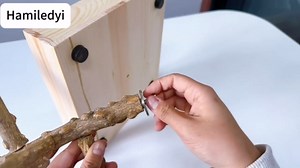 Hamiledyi Bird Perch Stand Playground Parrot Playground Tabletop Natural Wooden Perch PlayStand Platform Toys for Parrots Parakeets Lovebirds Canaries Cockatiels Conure