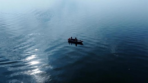 Space Invaders: Solving the invasive species explosion