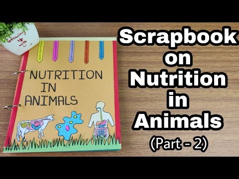 Scrapbook on Nutrition in Animals part-2 l Nutrition in Animals project l Nutrition in Animals