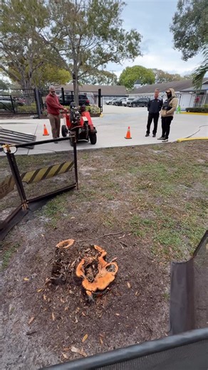 Call in a Stump Man on Instagram: "The Police at this School in #tequesta got to experience their 1st Stump grinding #irrigation #freeze #clearskys"