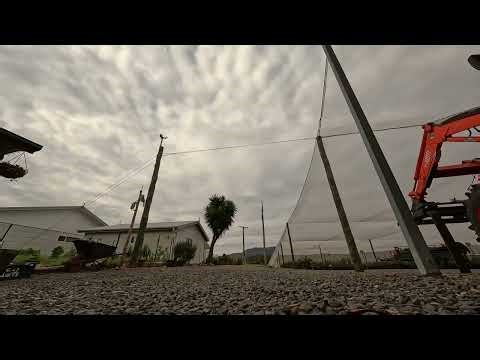 GoPro on Apex FPV quadcopter early morning nursery flight. Analogue with TBS Tango 2 Crossfire.