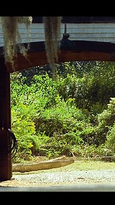 #movie #movies #movieclips #movienight #movietime #filmreview #SuperhitMovie #realsfb #FacebookReelsContent #movieposter #netflixmovies #bestmovie #shortmovie #fyp | JAI