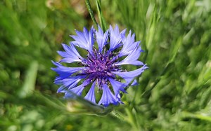 Excel Power Query 制作查询模板