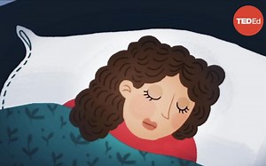 【TED-Ed】你的大脑能同时处于清醒和睡眠状态吗？