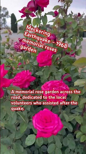 Meckering Earthquake – 1968 memorial garden #westernaustralia #greateasternhighway