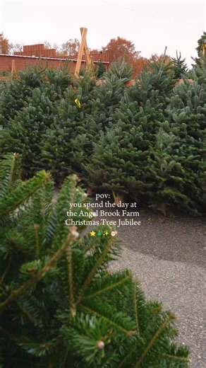 2.4K views · 11 reactions | Holiday plans: this  We can't wait to...