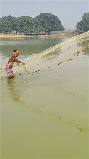 Perfect Cast Net Throw! Pond Fishing Success