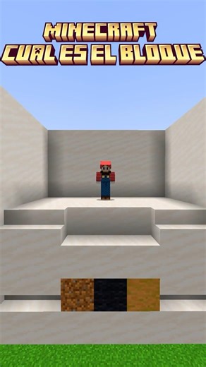 MINECRAFT CUAL ES EL BLOQUE?? 2 #minecraft #shorts #adivina