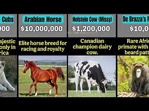 50 Most Expensive Animals in the World 2025 Comparison | Unbelievable Animal Prices
