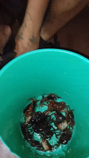 DLI lugi ang kakapoy #fbreelsfypシ゚viralfbreelsfypシ゚viral #fbyシvideo #highlightsシ゚ #nocopyrightinfringementintendedmusic | Rikka Rodriguez