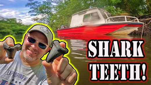 Scuba Diving Yields Abundant Fossils and Shark Teeth