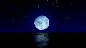 Cruise Ship Sailing Full Moon Seagulls Stock Footage Video (100% Royalty-free) 17042044 | Shutterstock
