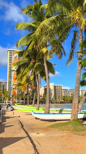 1.7K views · 109 reactions | Duke Kahanamoku Beach Park, Waikiki Beach.️  #beach #beachvibes #waikiki #hawaii #aloha #tourist wa | Ann Osalvo | Facebook