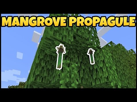How To Get MANGROVE PROPAGULE In MINECRAFT