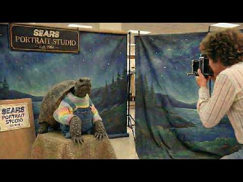 The Gopher Tortoise's Studied Absence at Hidden Water Preserve in Eustis, Florida 🐢🐢🐢