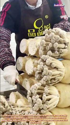The Art of Preparing Edible Mushrooms