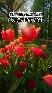 Apus magic în Grădină 🌺🙌