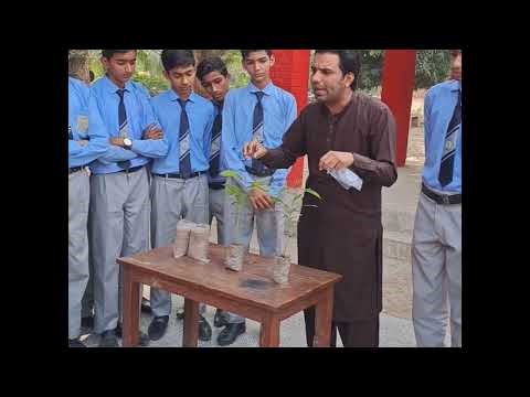 Difference between control and experimental group.